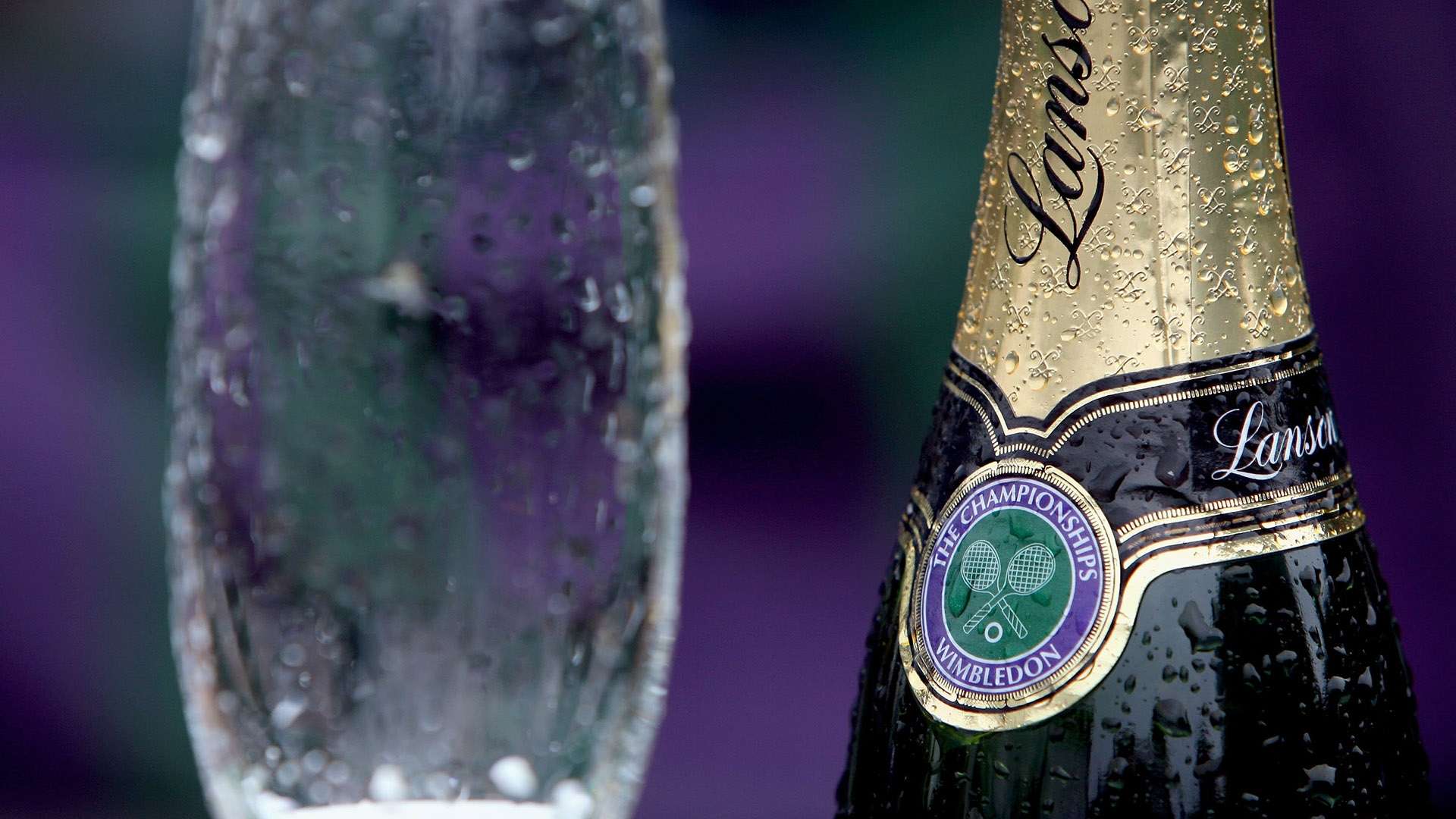 型的球员 型的球员